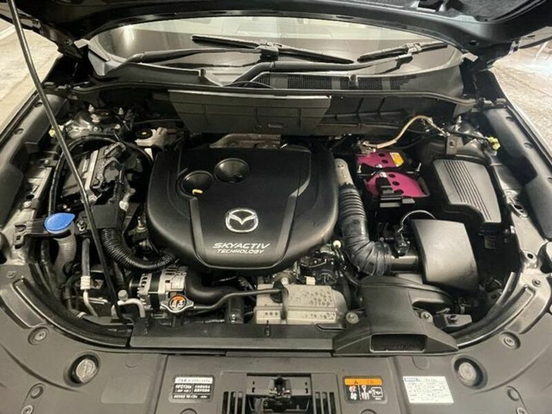 CX-8