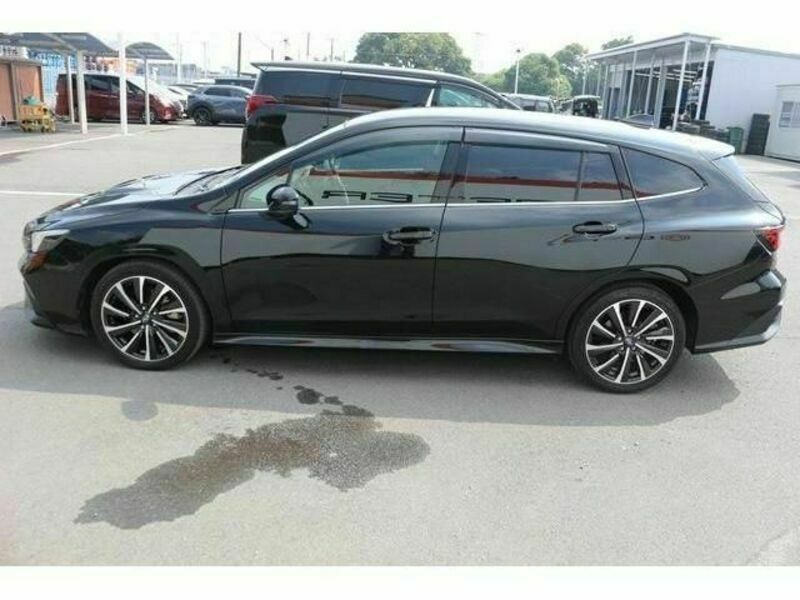 LEVORG