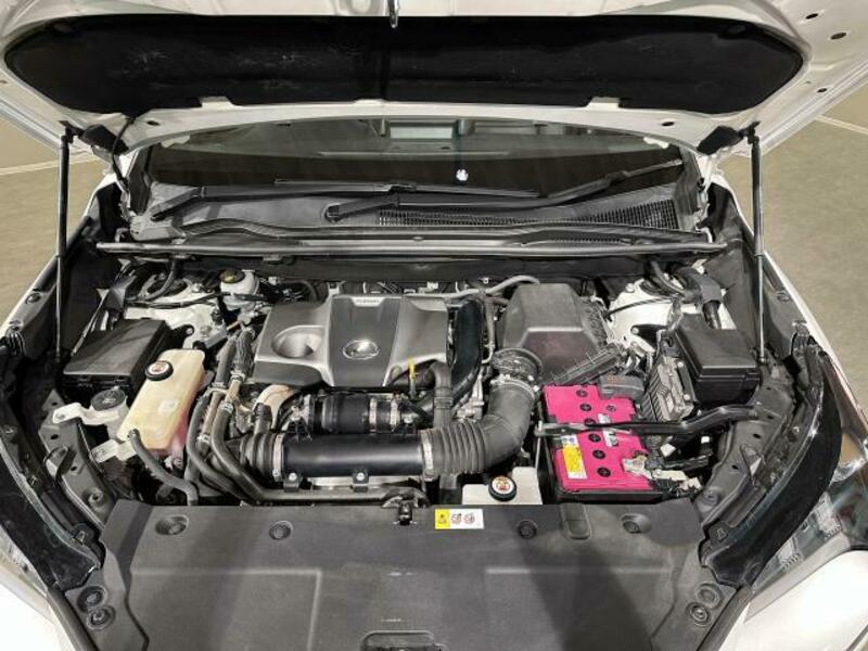 NX