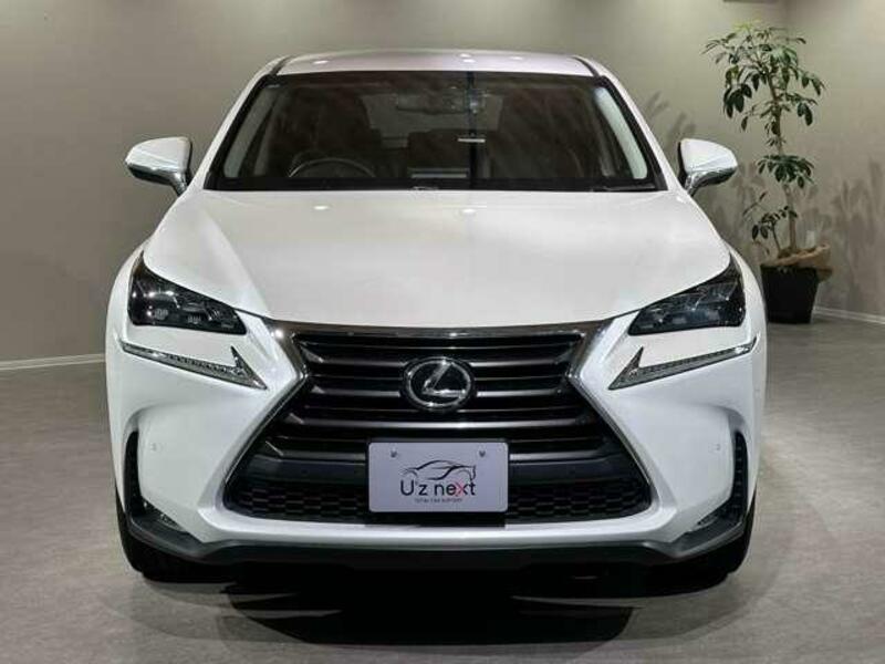 NX