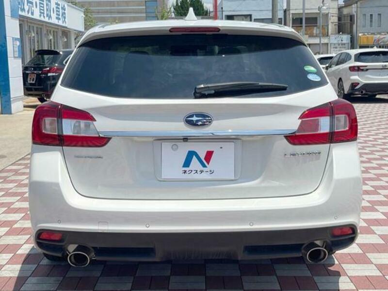 LEVORG