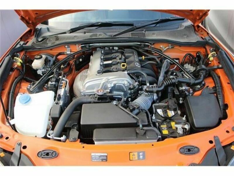ROADSTER RF