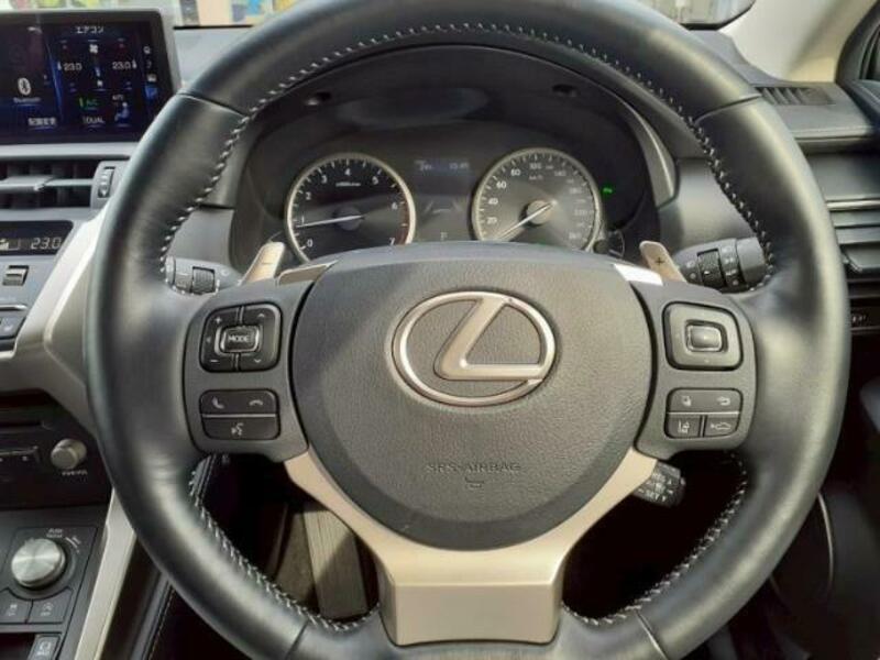 NX