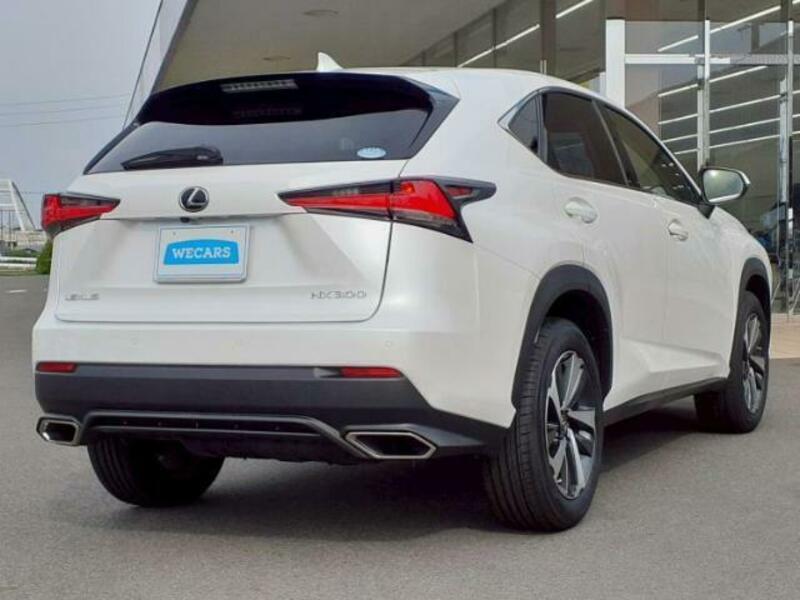 NX