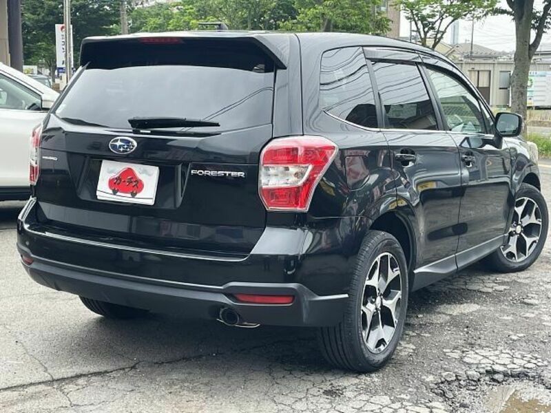 FORESTER-0
