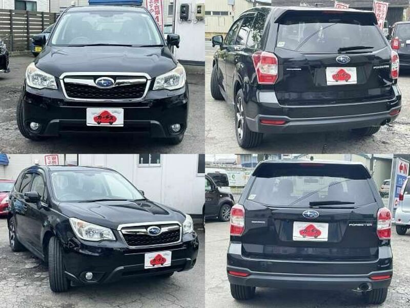 FORESTER