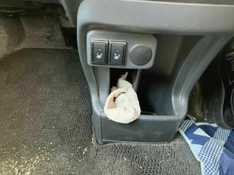 HUSTLER