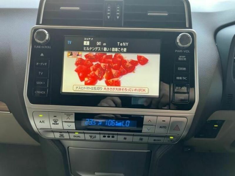 LAND CRUISER PRADO
