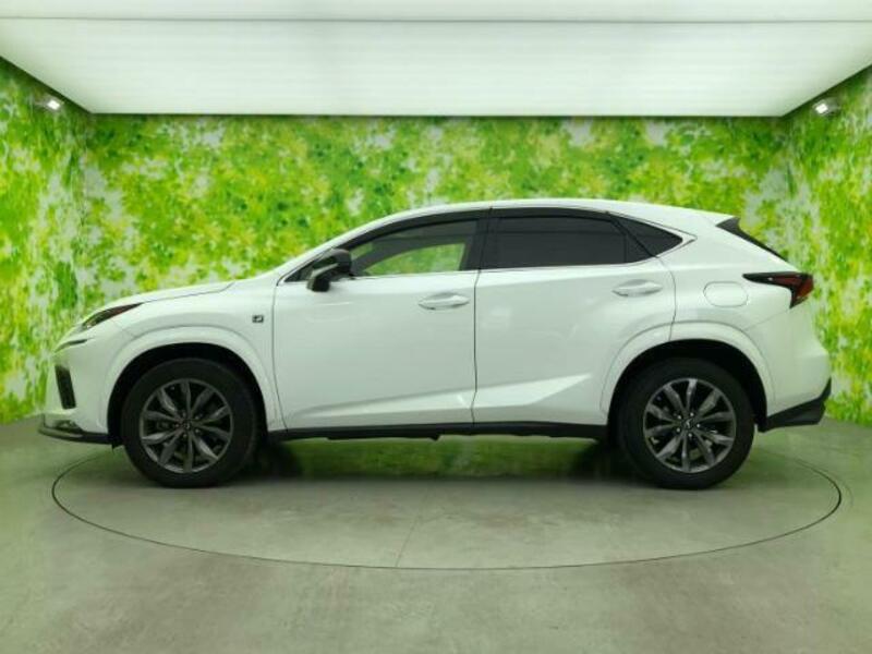 NX