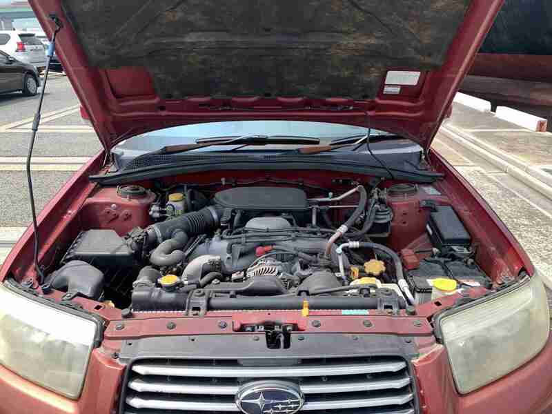 FORESTER