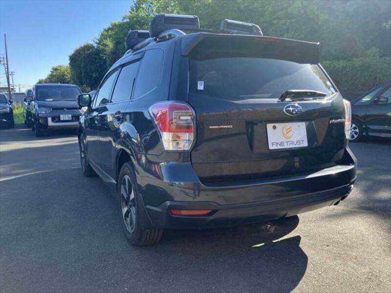 FORESTER