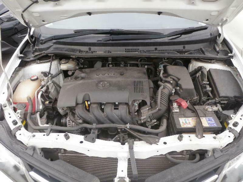 AURIS