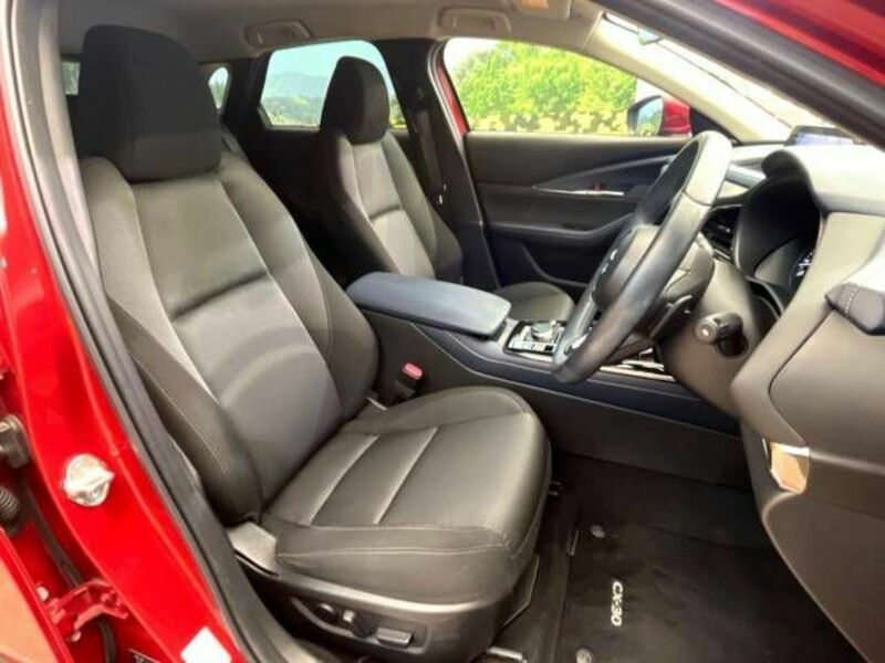 CX-30