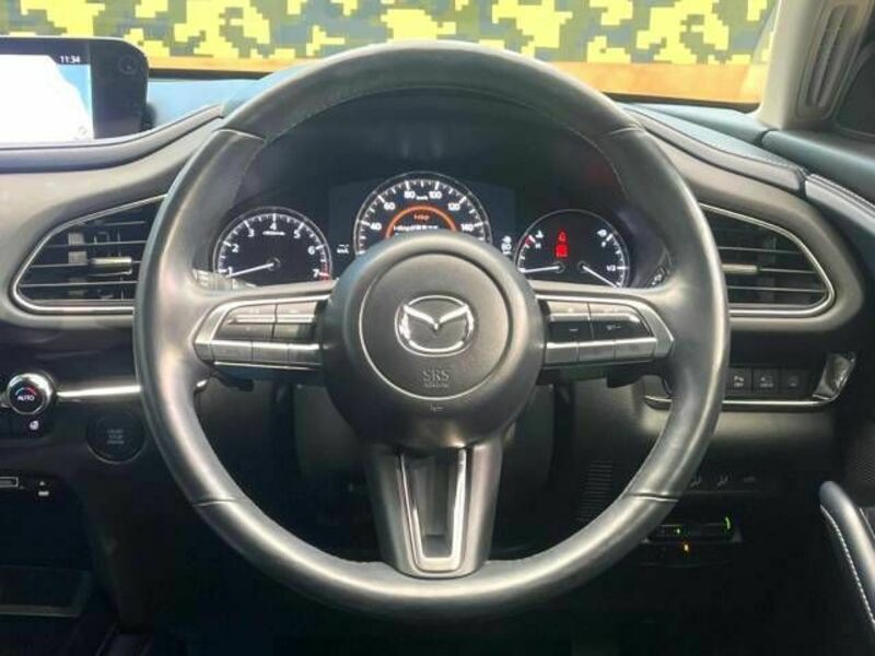 CX-30