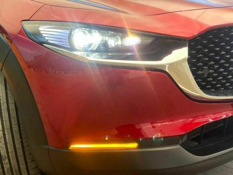 CX-30