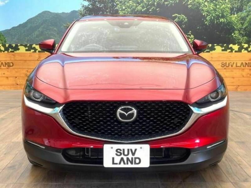 CX-30