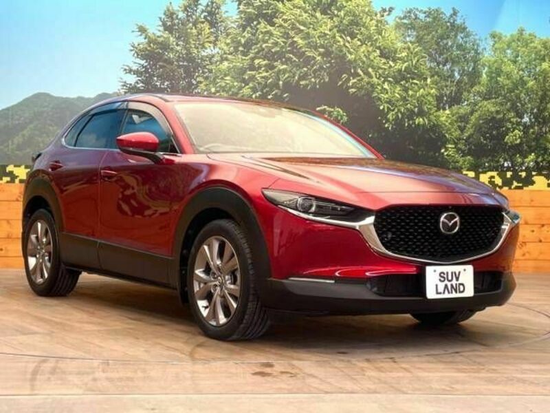 CX-30