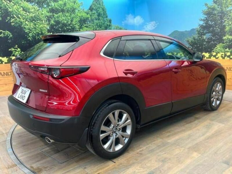 CX-30