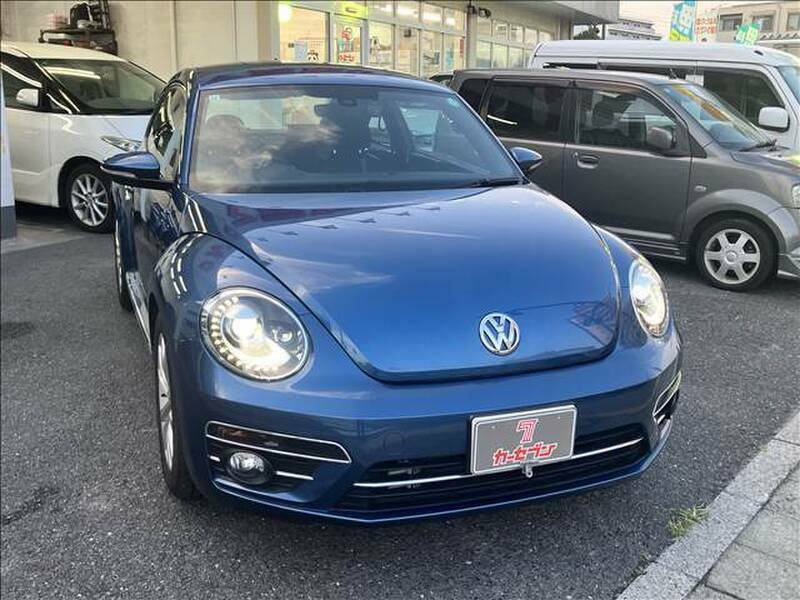 THE BEETLE