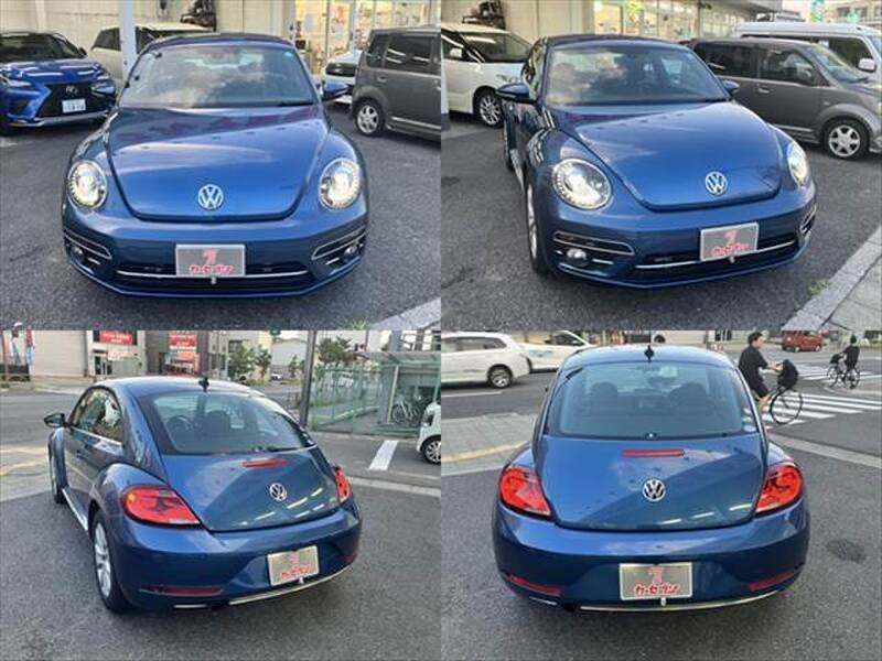 THE BEETLE