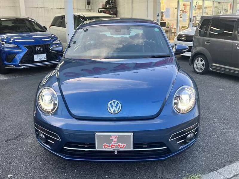 THE BEETLE