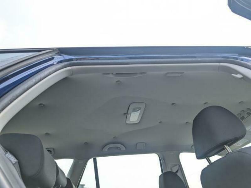 GOLF VARIANT
