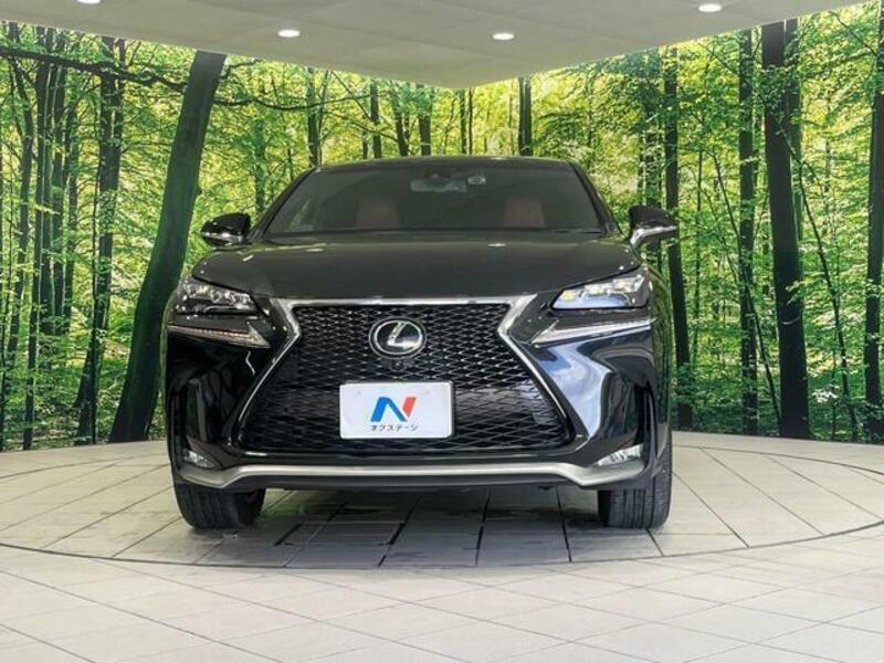 NX