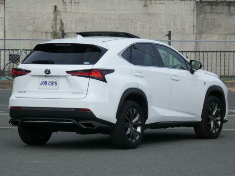 NX