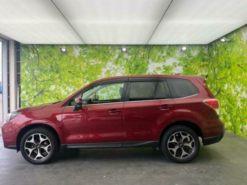 FORESTER