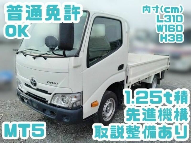 TOYOTA DYNA