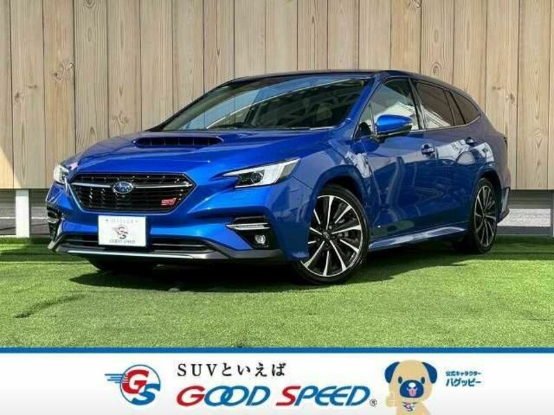 LEVORG-0