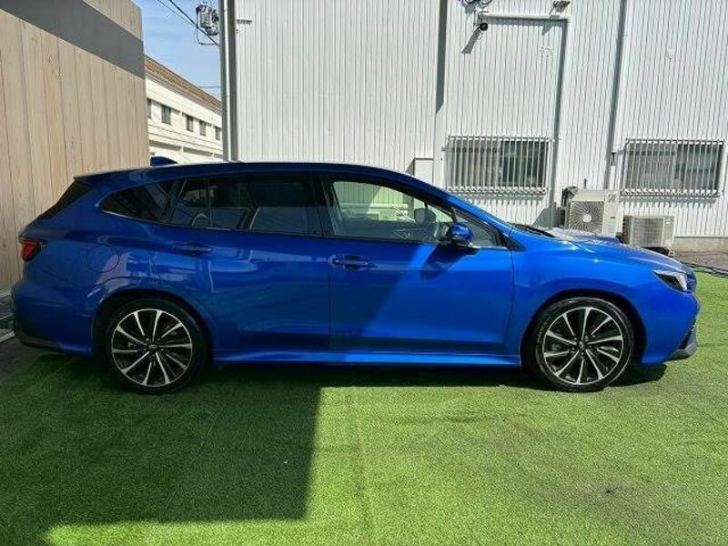 LEVORG