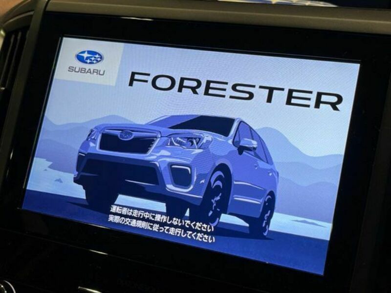 FORESTER