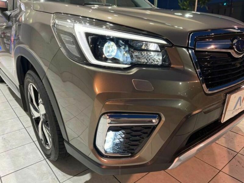 FORESTER