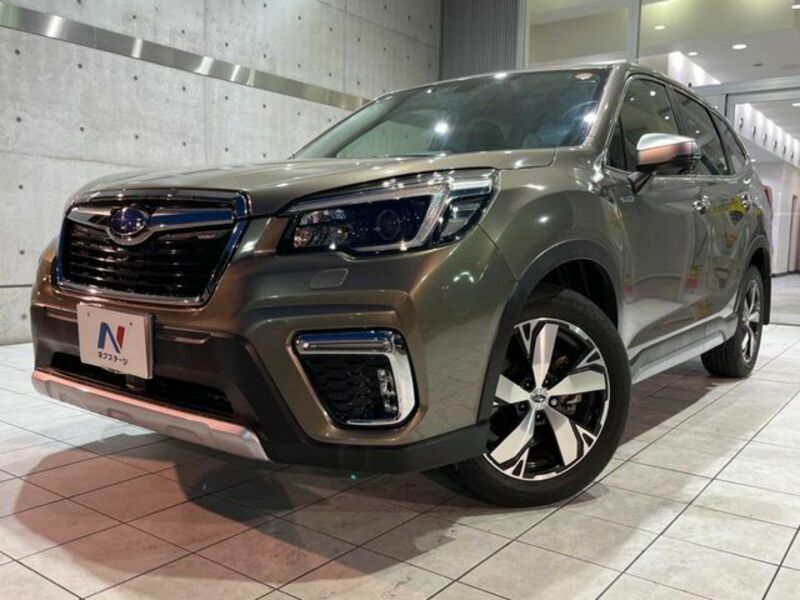 FORESTER