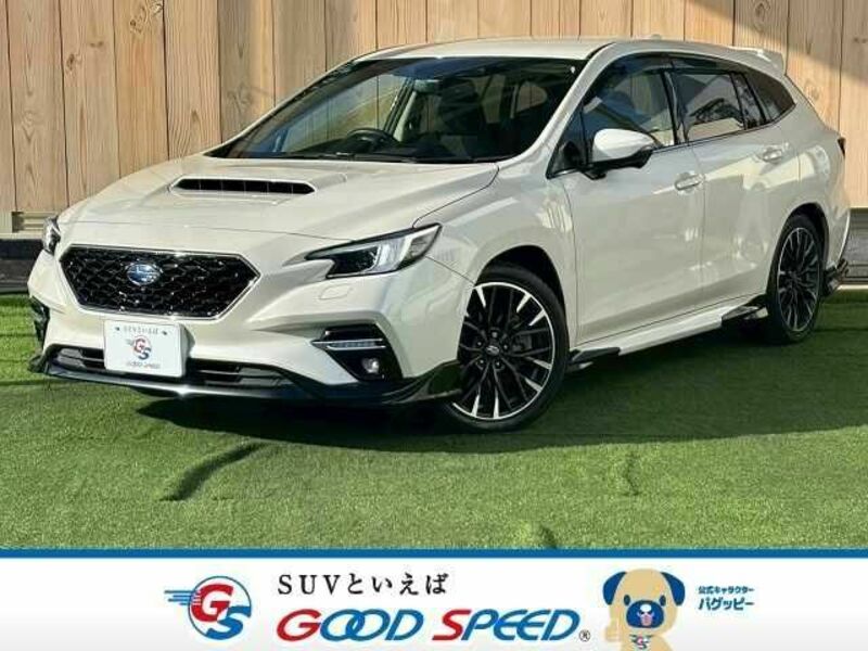 LEVORG-0