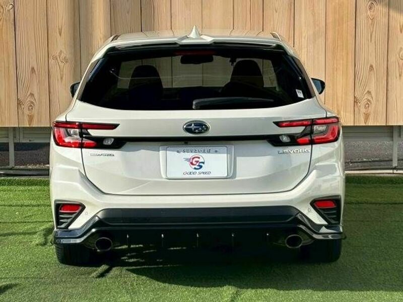 LEVORG