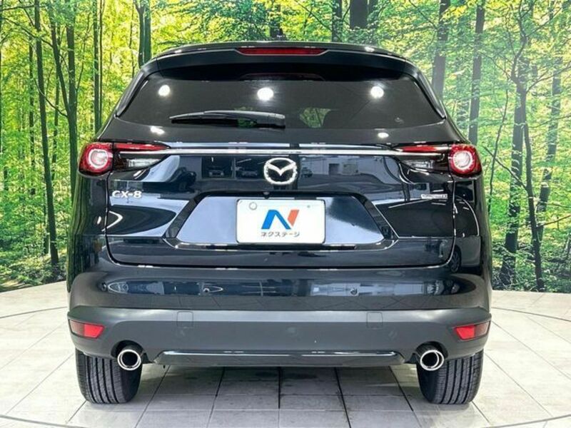 CX-8
