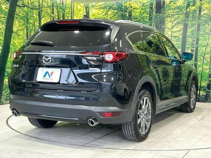 CX-8