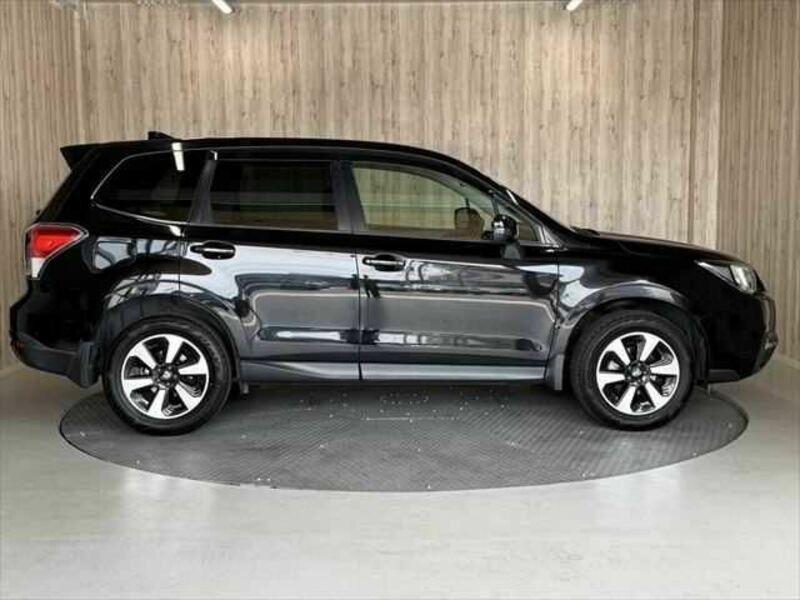 FORESTER