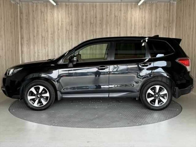 FORESTER