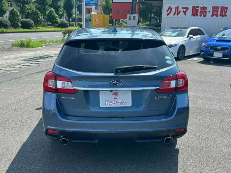 LEVORG