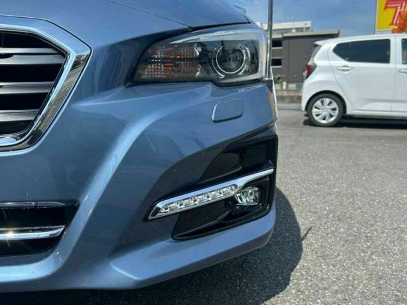 LEVORG