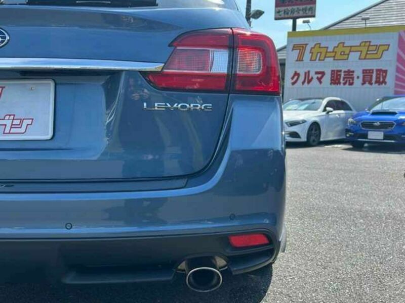LEVORG