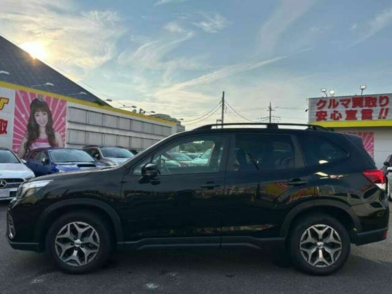 FORESTER