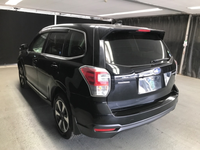 FORESTER