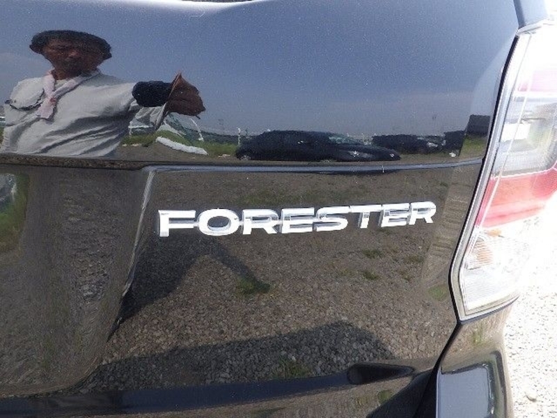 FORESTER