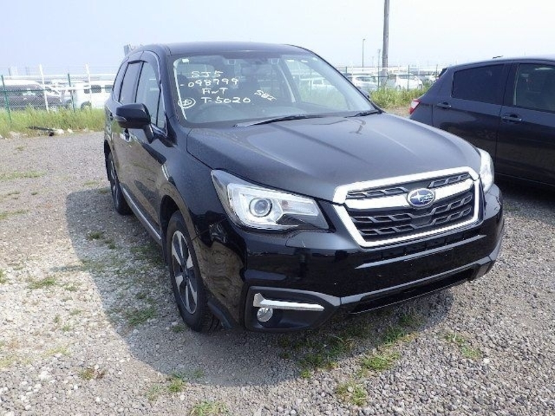 FORESTER