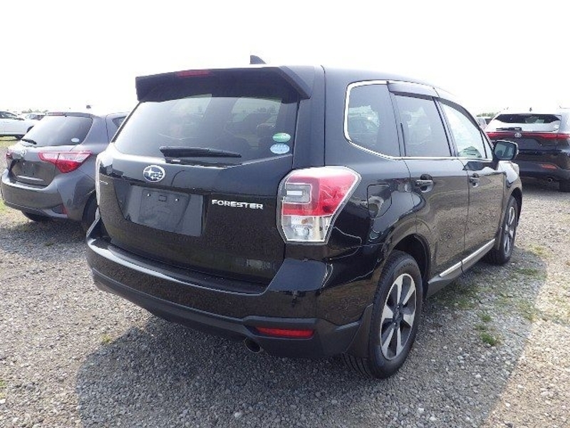 FORESTER