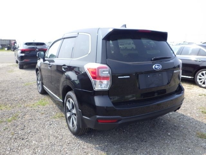 FORESTER